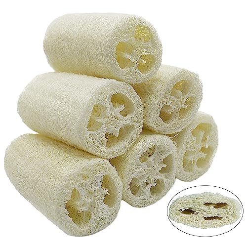 6 esponjas de luffa naturales, 10 cm, pepino, para eliminar la piel muerta, para el cuidado del cuerpo, baño y ducha, para la cocina, esponja de luffa natural exfoliante (comprimida)